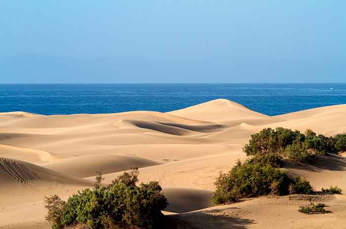 origen-de-las-dunas-de-maspalomas