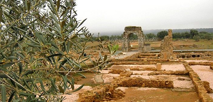 El Arco de Cáparra es el único arco tetramofro que queda en la Península Ibérica