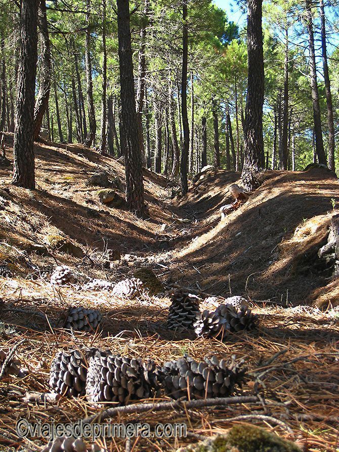 En la Sierra de GUadarrama todavía se pueden apreciar las trincheras utilizadas por las tropas republicanas y nacionales durante la Guerra Civil española
