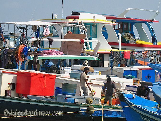 La lonja y el puerto de Malé son dos de los lugares de interés de la capital de Maldivas