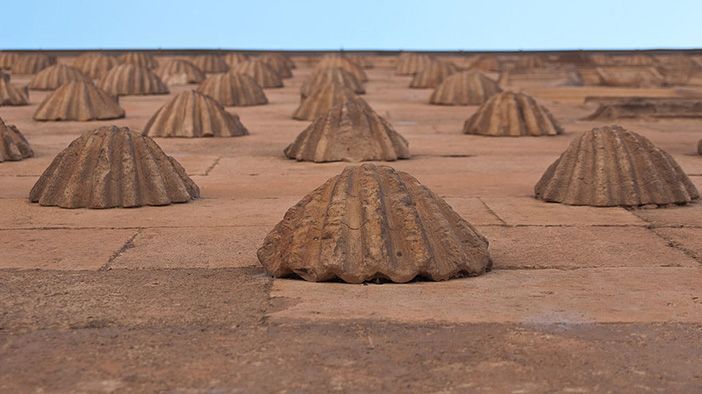 Hay quien encuentra un significado amoroso en la decoración de conchas de la Casa de las Conchas de Salamanca.