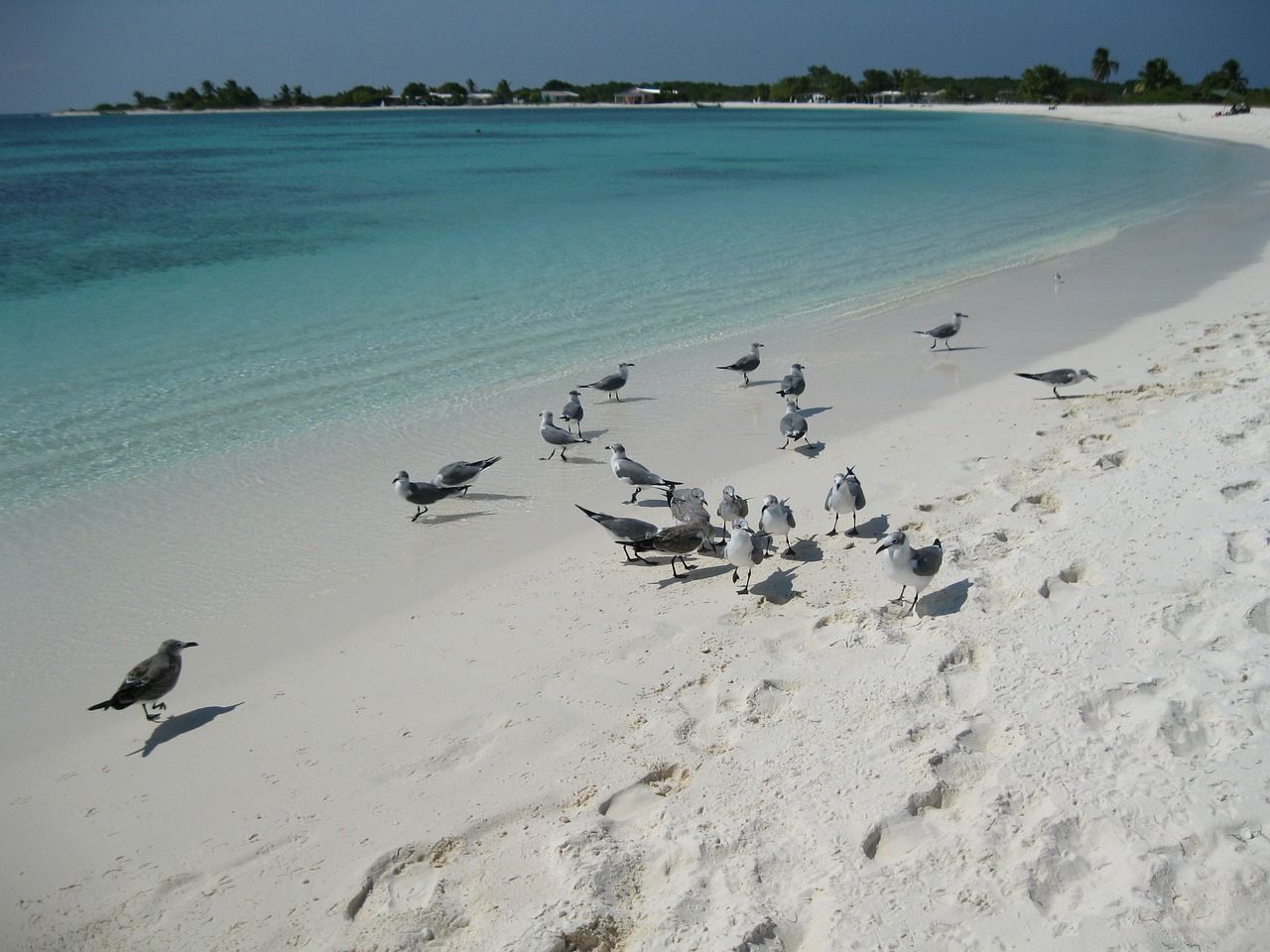 Los Roque es el único archipiélago coralino del Caribe Sur y pertenece a Venezuela