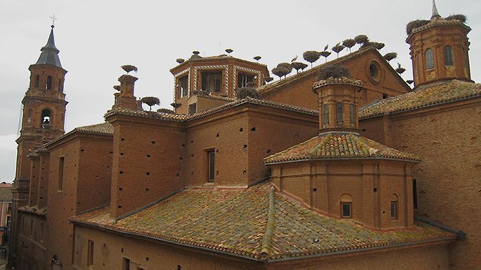 La colegiata de San Miguel de Alfaro tiene la mayor concentración urbana de cigüeña blanca en un solo edificio