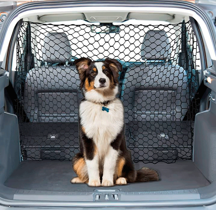 El separador es uno de los accesorios para viajar en coche con tu perro más importantes