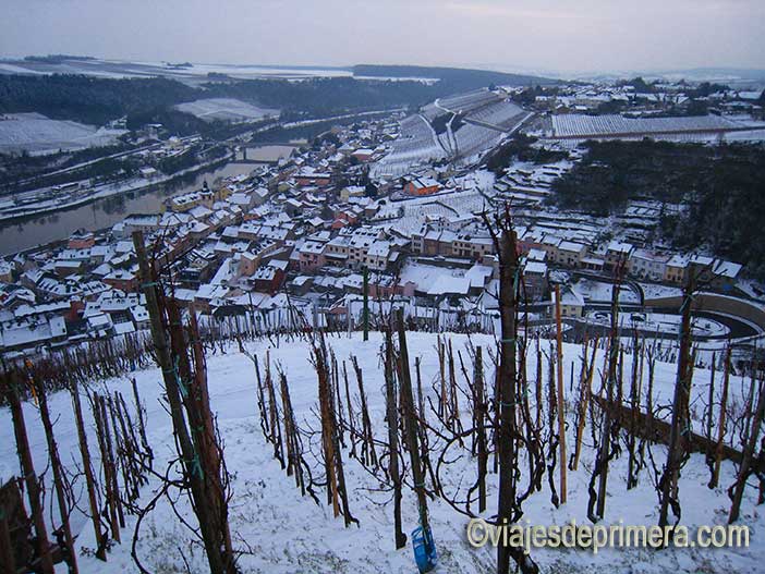 Visitar las bodegas del Mosela es una de las mejores cosas que hacer en Luxemburgo