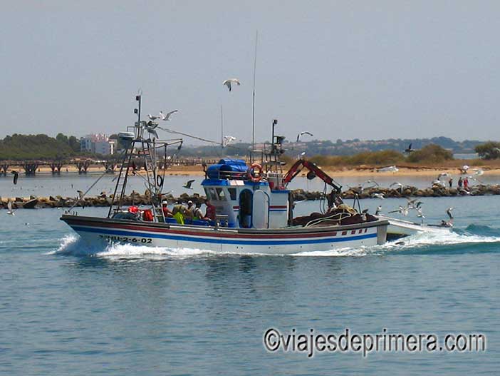 Ayamonte tiene una gran tradición marinera que se nota mucho en su gastronomía típica